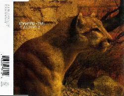 cd single cd single