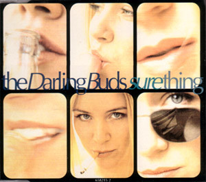 cd single cd single