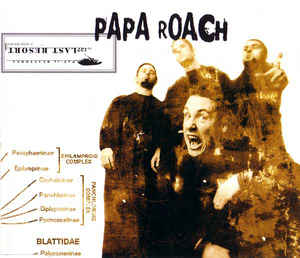 cd single cd single