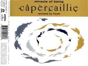 cd single cd single