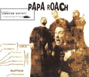 cd single cd single
